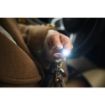 Slika Ansmann Laserpointer 2in1 laser + LED baterijska lampa privezak
